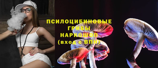 Альфа ПВП Осташков