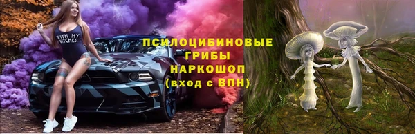 бошки Галич