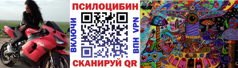 Галлюциногенные грибы прущие грибы  МЕГА онион  Ржев 