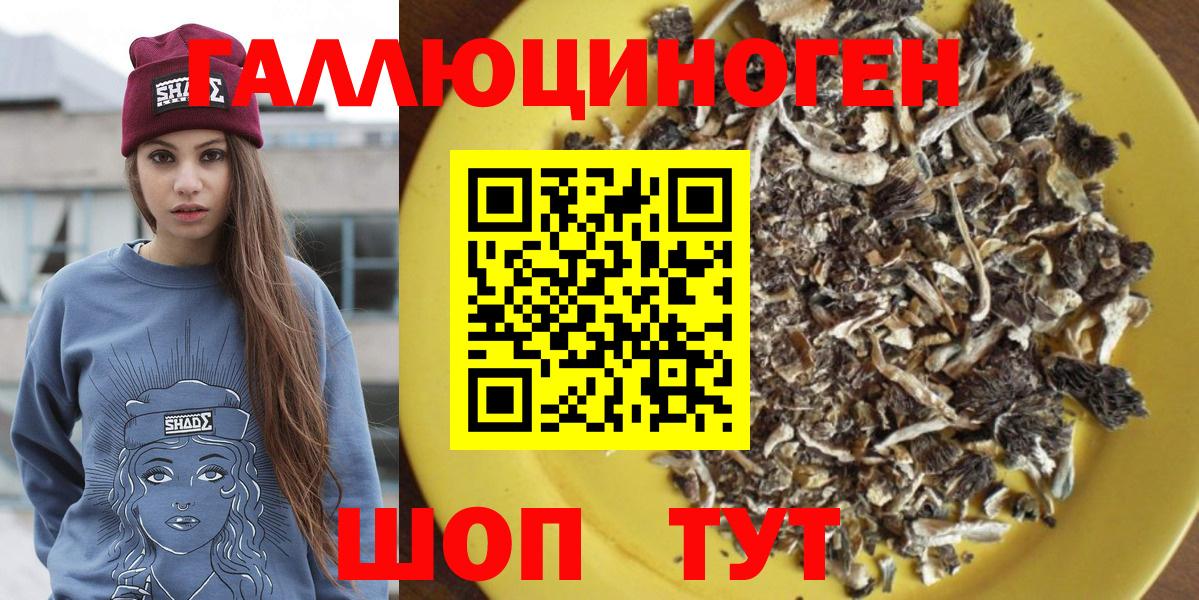 Галлюциногенные грибы Magic Shrooms  Псилоцибиновые грибы Psilocybine cubensis  Вход с VPN  Ржев 